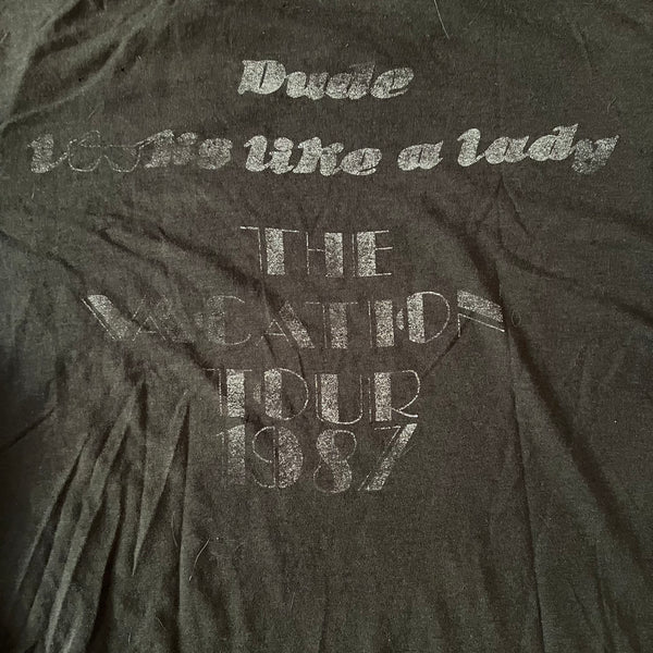 1987 Aerosmith "Vacation" Tour Vintage Band Tee Shirt